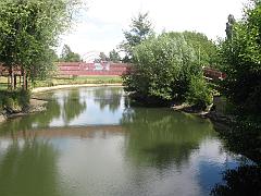 IMG_4705