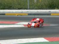 catsardaola2007006_small.jpg