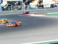 catsardaola2007039_small.jpg