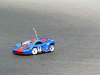 catsardaola2007150_small.jpg