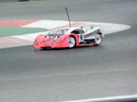 catsardaola2007218_small.jpg