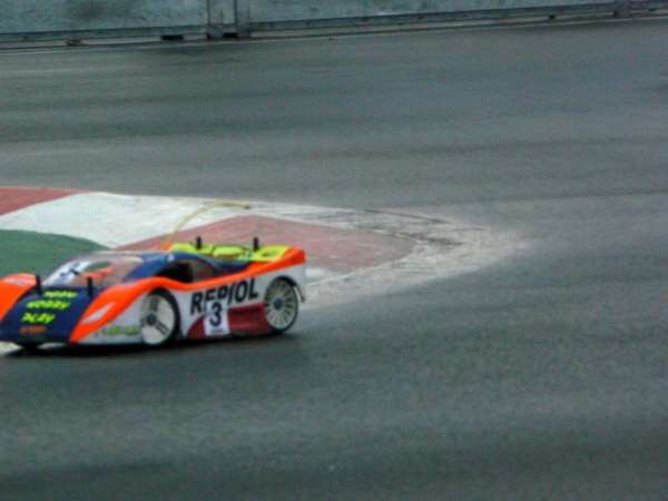 catsardaola2007273.jpg