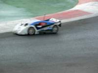 catsardaola2007294_small.jpg