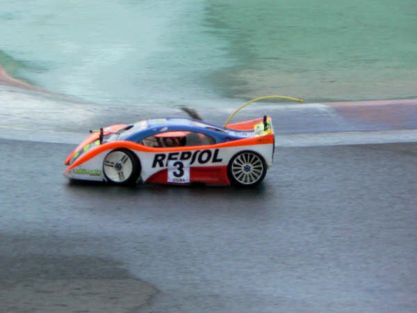 catsardaola2007300.jpg