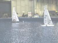 Photo Number 11