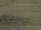 pict3340_small.jpg